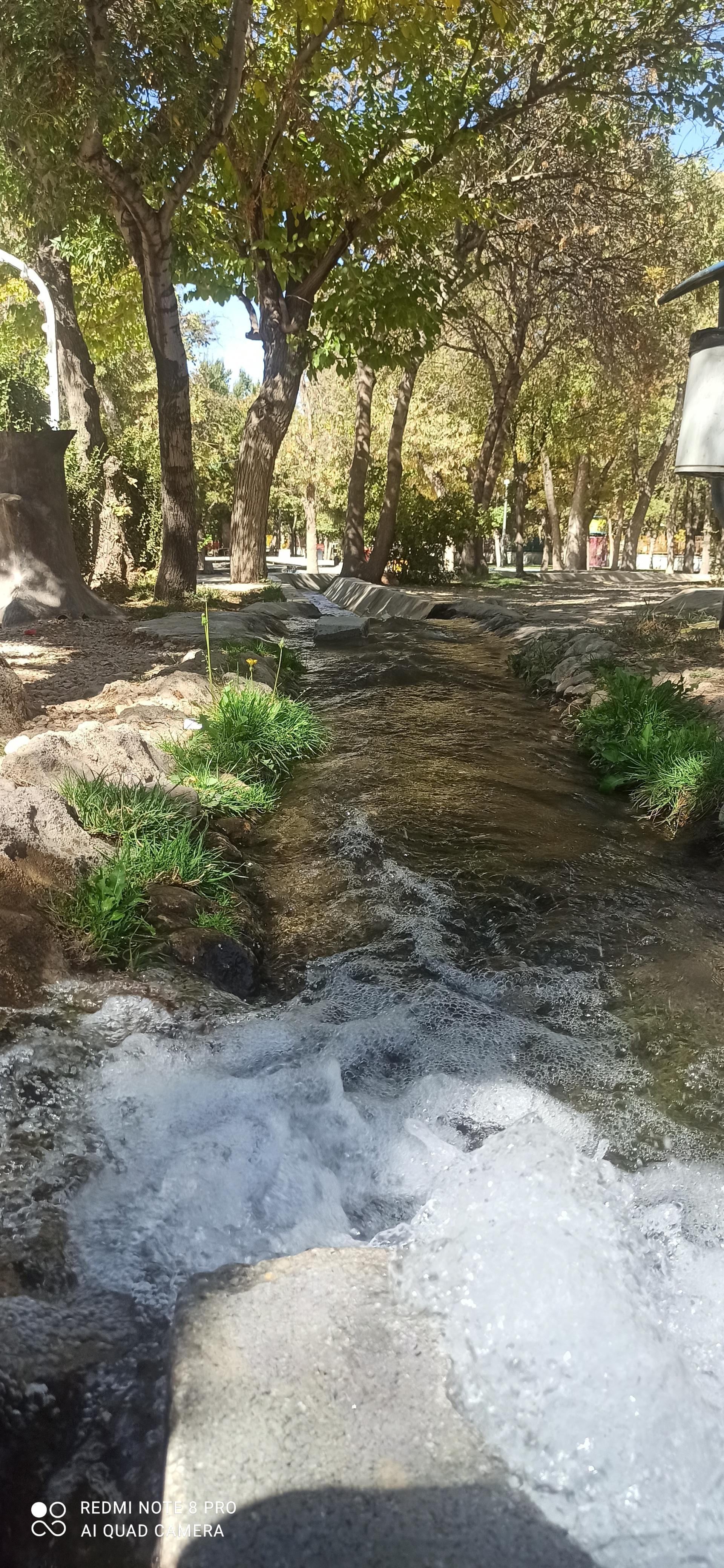 عکس پارک جنگلی سرچشمه