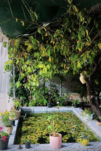 عکس کافه کتاب ری را