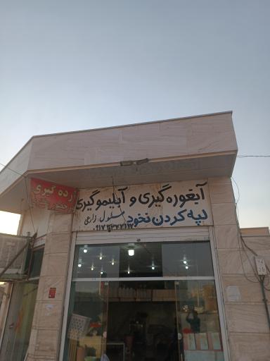 عکس آبغوره گیری و آبلیمو گیری زارعی 