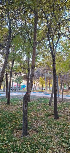 عکس پارک جنگلی سرچشمه