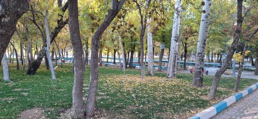 عکس پارک جنگلی سرچشمه