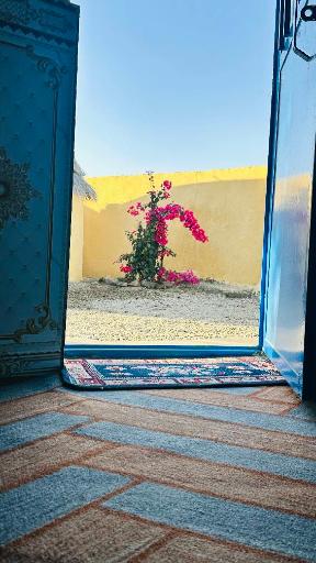 عکس بومگردی واهگ