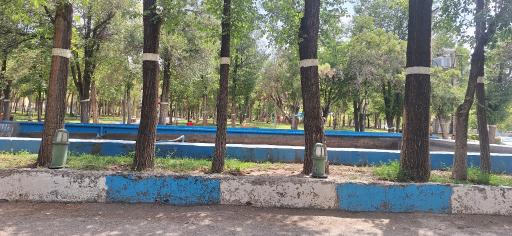 عکس پارک جنگلی سرچشمه
