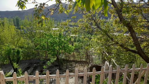 عکس بوم گردی کوچه باغ