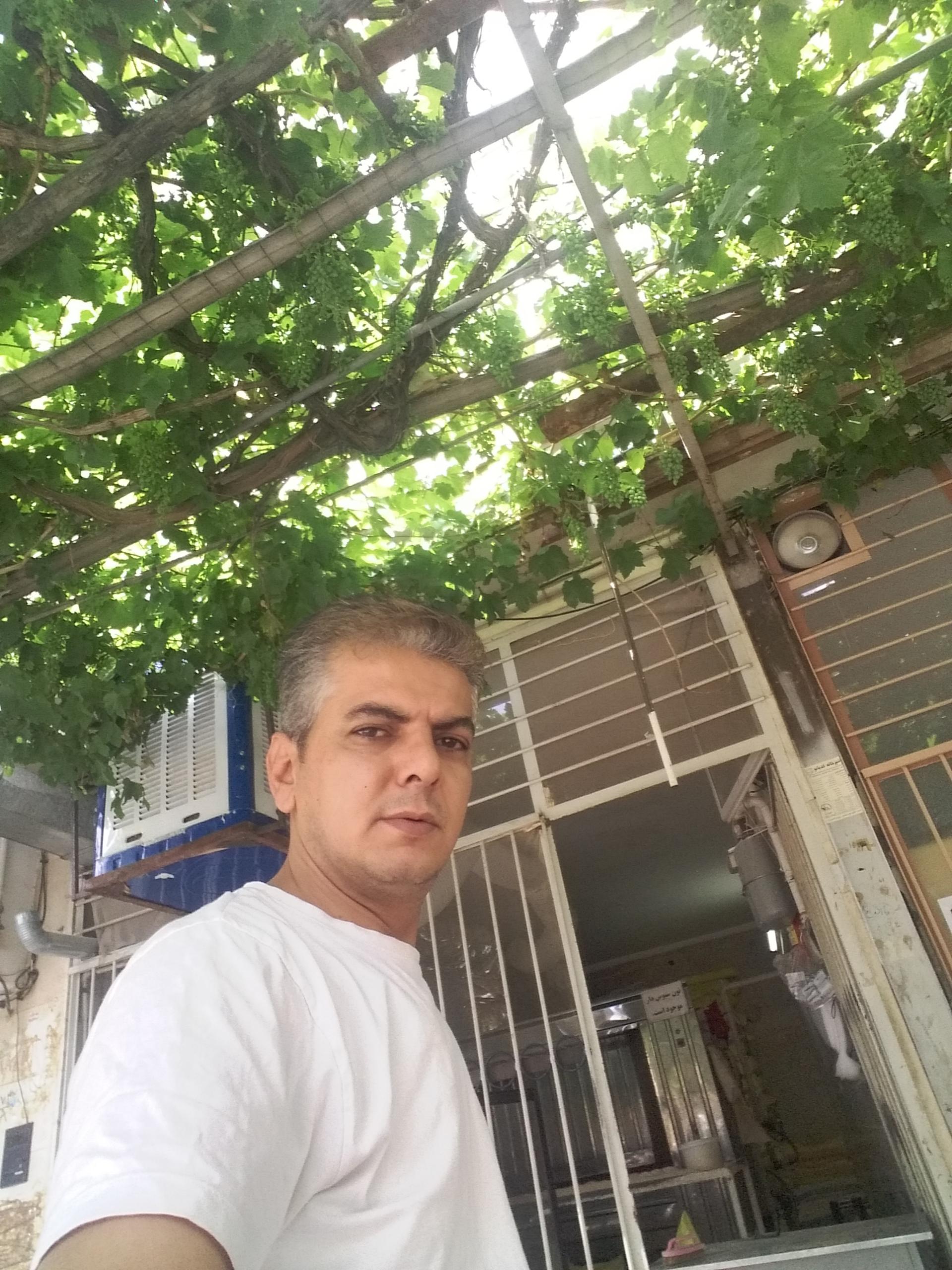 عکس نانوایی بربری فتحی