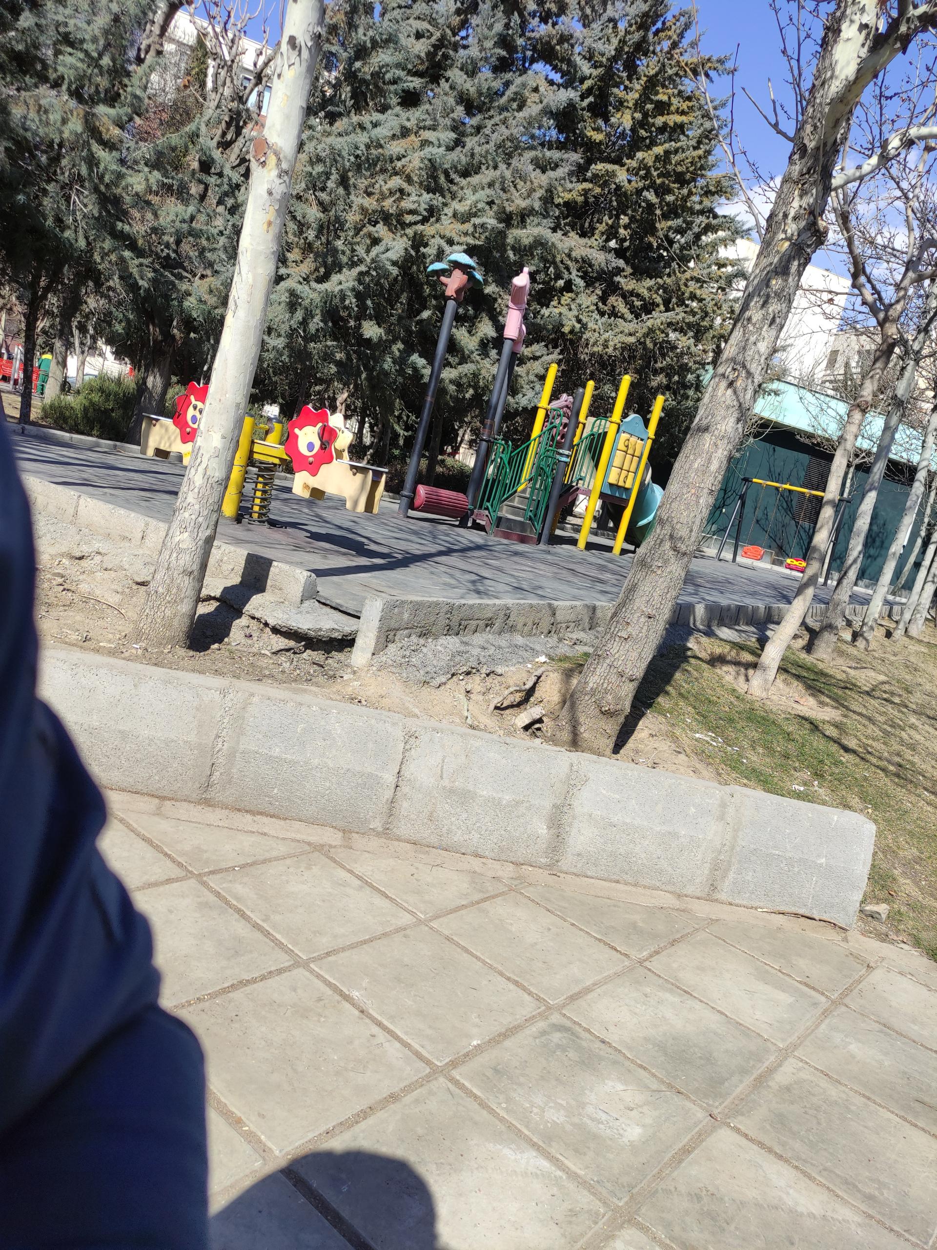 عکس بوستان لادن