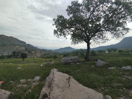 عکس شلالدان