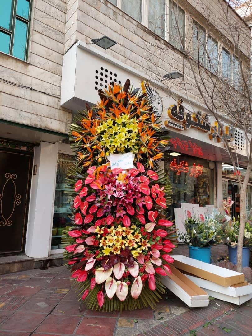 عکس گلزار شکوفه