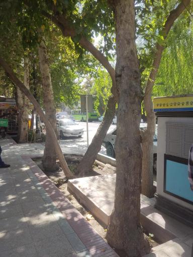 عکس چهار راه حکیم نظامی