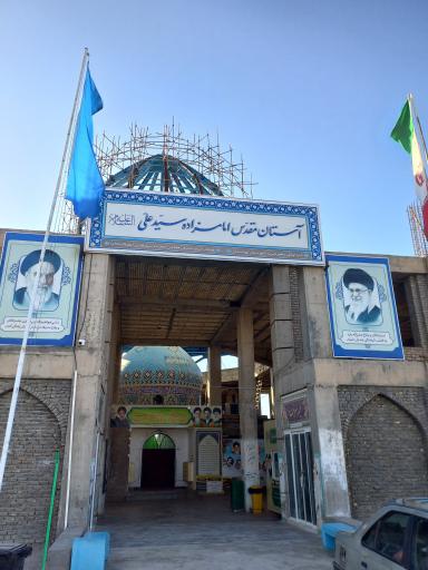 عکس مزار سید علی