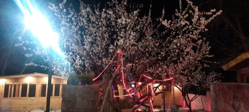 عکس باغ رستوران سنتی صبا