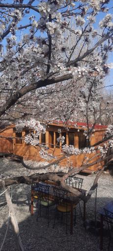 عکس باغ رستوران سنتی صبا