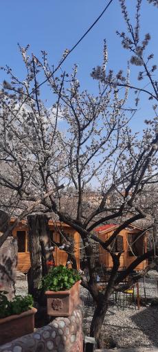 عکس باغ رستوران سنتی صبا