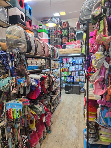 عکس پت شاپ خلج