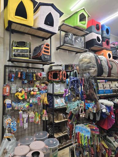 عکس پت شاپ خلج