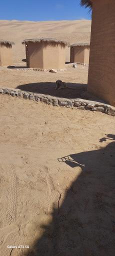 عکس کمپ کویر گردی هفت سنگ