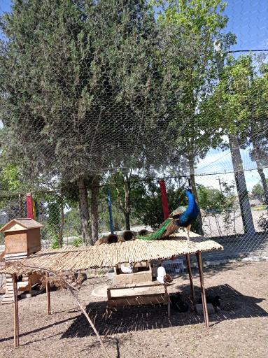 عکس کمپینگ گردشگری اقامتی حضرت ولیعصر (عج)