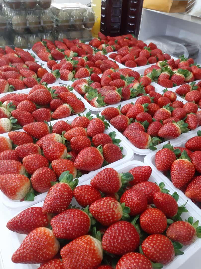 عکس هایپر میوه مرکزی