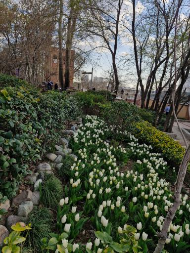 عکس بوستان باغ ایرانی
