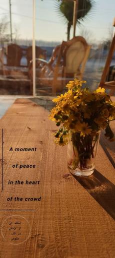 عکس کافی شاپ