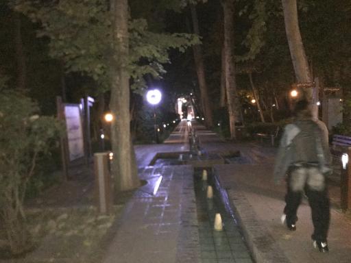 عکس بوستان باغ ایرانی