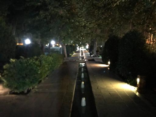 عکس بوستان باغ ایرانی