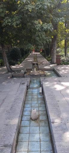 عکس بوستان باغ ایرانی