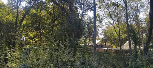 عکس بوستان باغ ایرانی