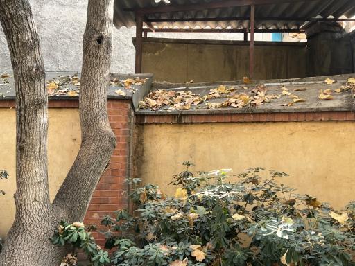 عکس بوستان باغ ایرانی