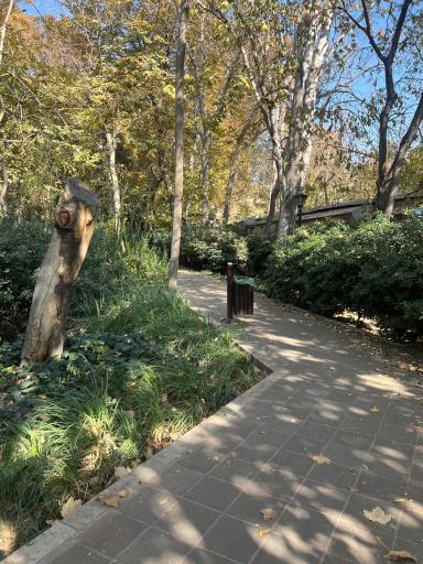 عکس بوستان باغ ایرانی