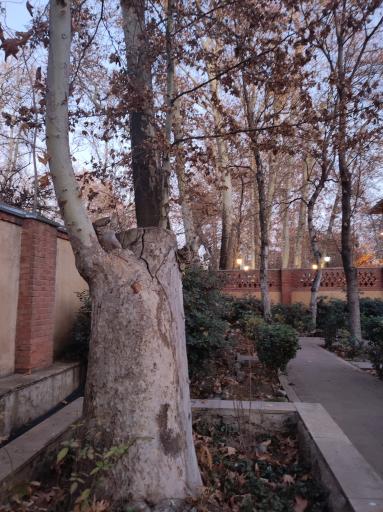 عکس بوستان باغ ایرانی