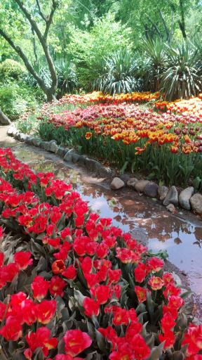 عکس بوستان باغ ایرانی