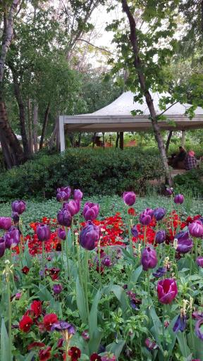 عکس بوستان باغ ایرانی