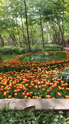 عکس بوستان باغ ایرانی
