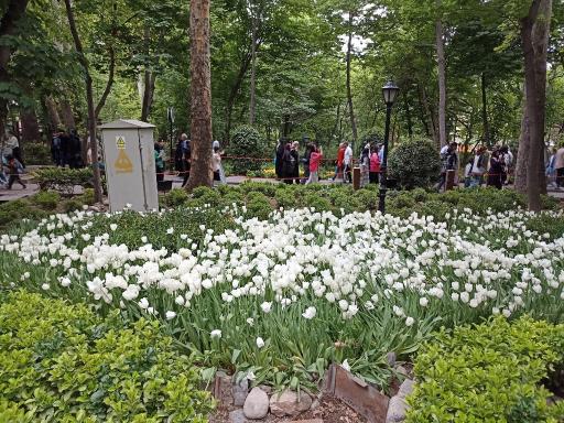 عکس بوستان باغ ایرانی