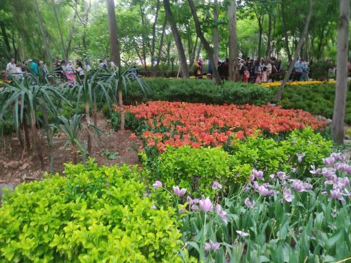 عکس بوستان باغ ایرانی