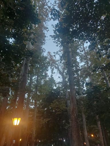 عکس بوستان باغ ایرانی