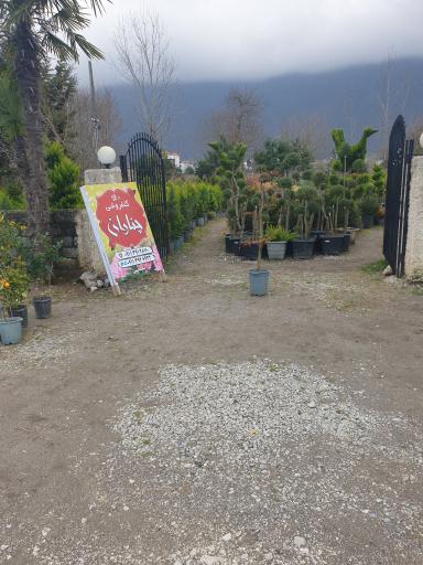 عکس گلفروشی چناران