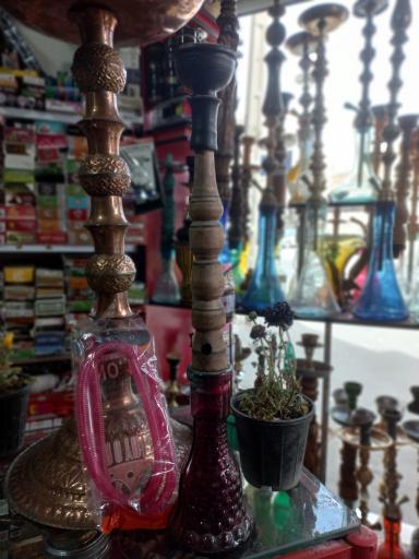 عکس قلیان فروشی حامد مرادی