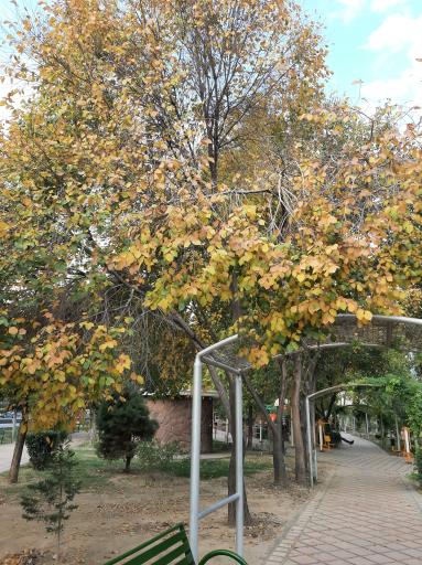 عکس بوستان شهروند