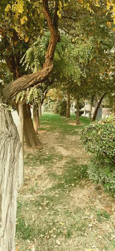 عکس بوستان شهروند