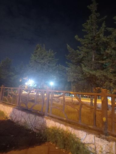 عکس پارک جنگلی بندر انزلی