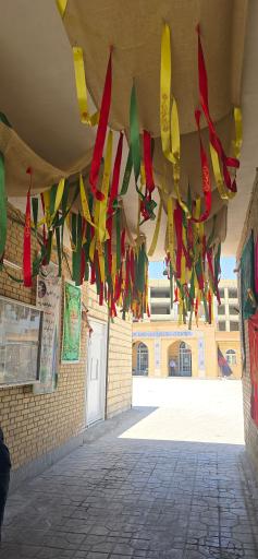 عکس مسجد ولی‌عصر عج 