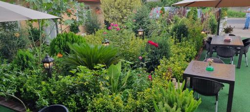 عکس کافه گیلیاد