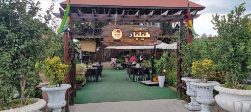 عکس کافه گیلیاد