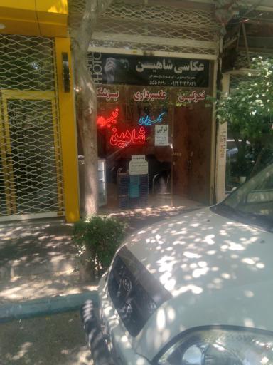 عکس عکاسی شاهین