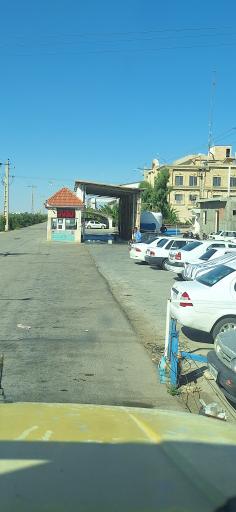 شرکت مرغ تخمگذار چیکا