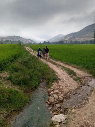 عکس نکا