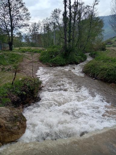 عکس نکا