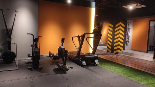 عکس باشگاه ورزشی نارنجیم